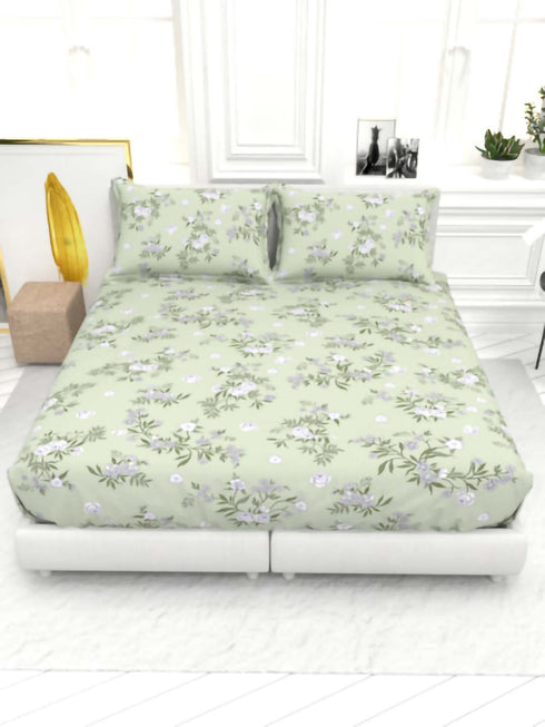The White moss Cider Luxury Queen Size Bedsheet set with 2 Pillow Covers